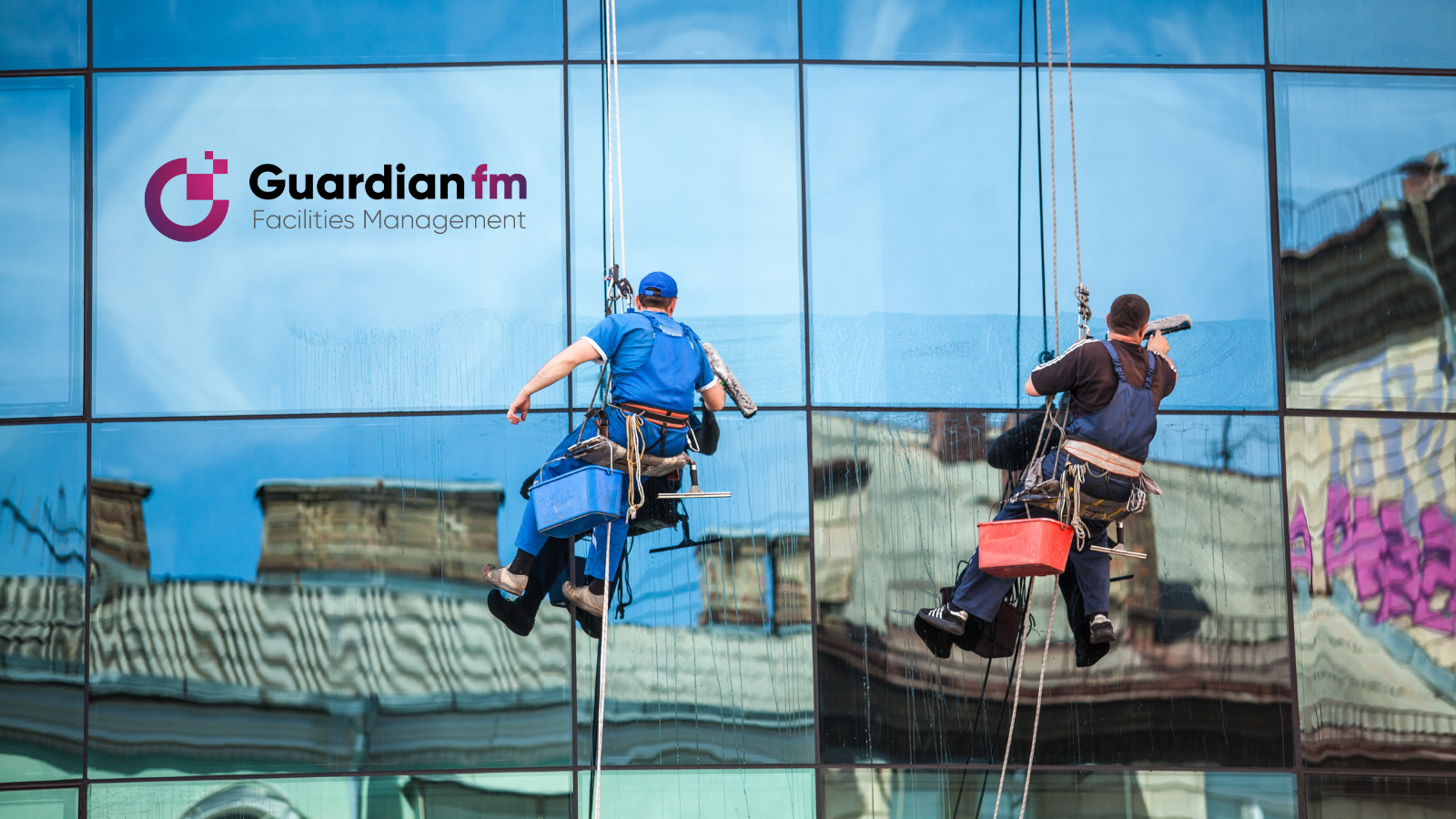 professional windows cleaning services